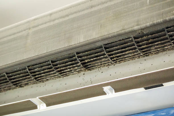 Best Ductwork Cleaning Services  in Pawnee, OK